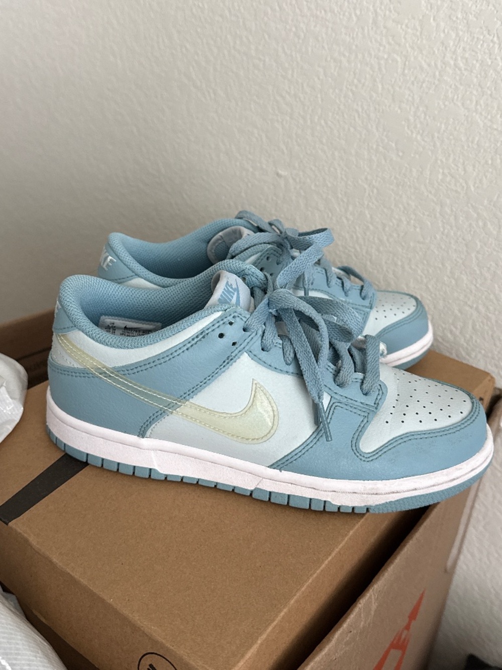 Nike low dunks blue